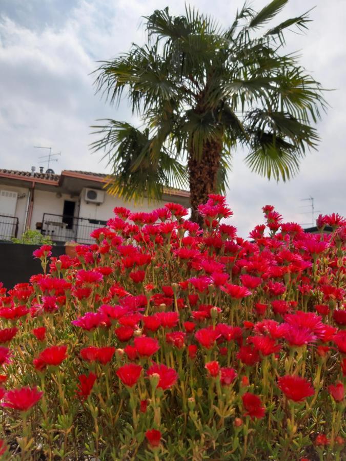 Villa Marianna Garda Lake Peschiera del Garda Quarto foto